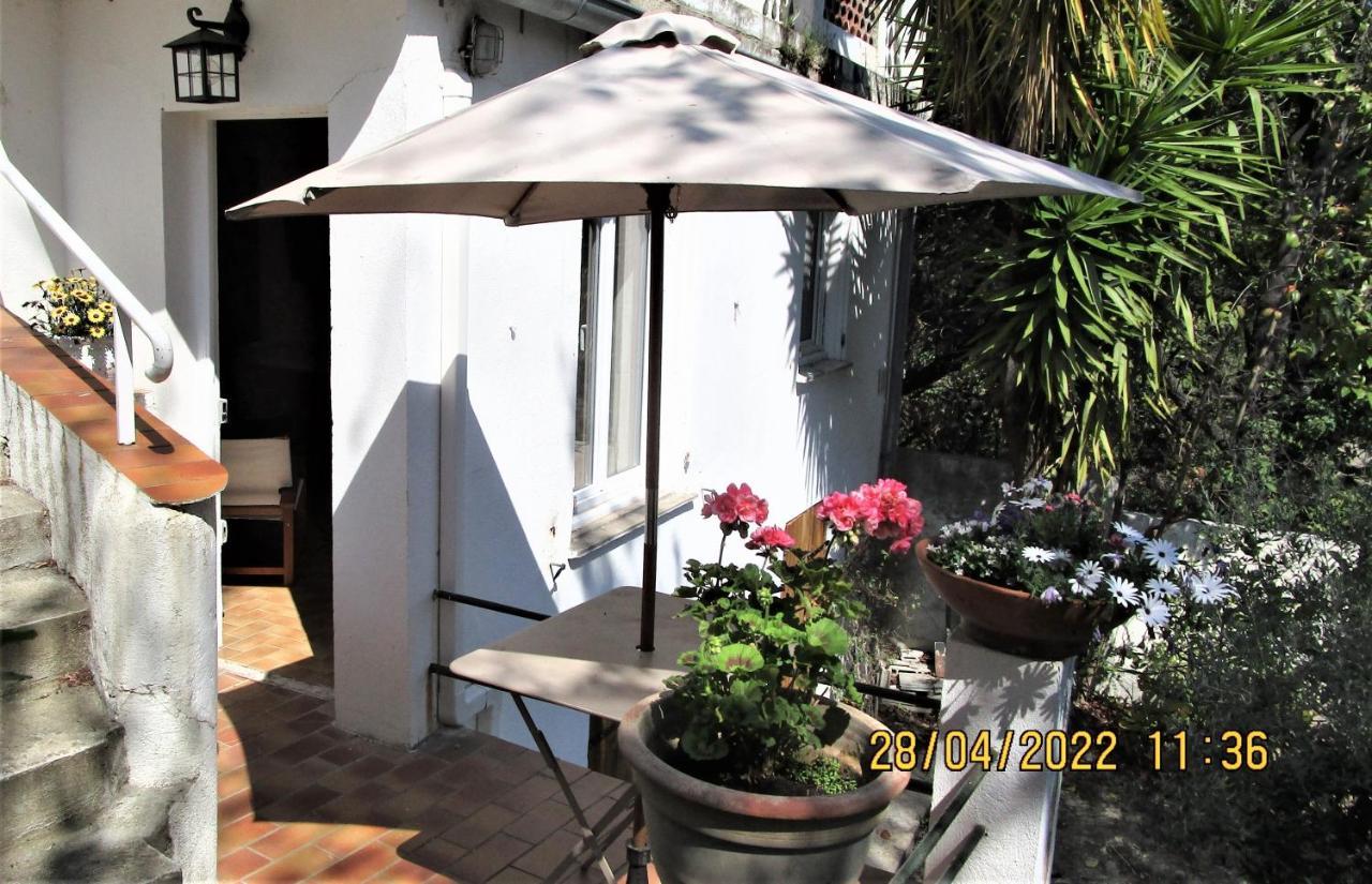 Nice - Studio Independant En Villa - Mer Ville Calme Jardinet エクステリア 写真